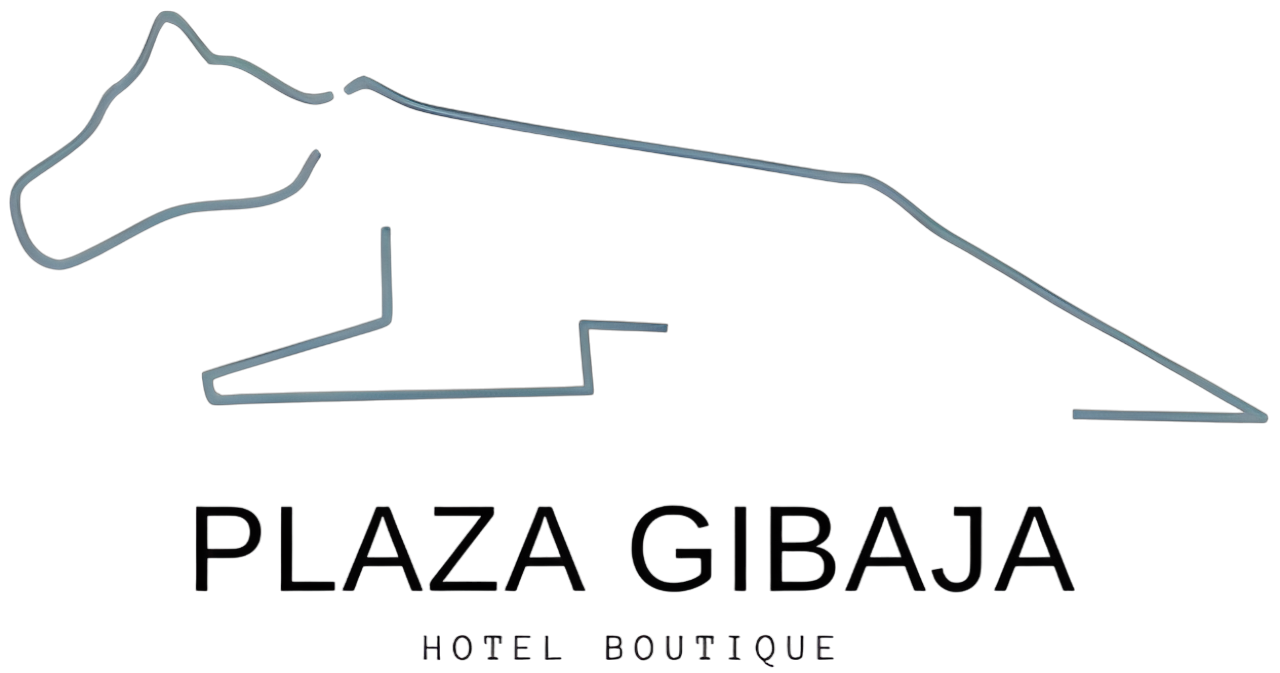 Sitio plazagibaja creado con Ayphu